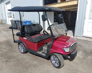 Abris Voiturette de Golf ( modèle 2+2 ) toit 80 pouces